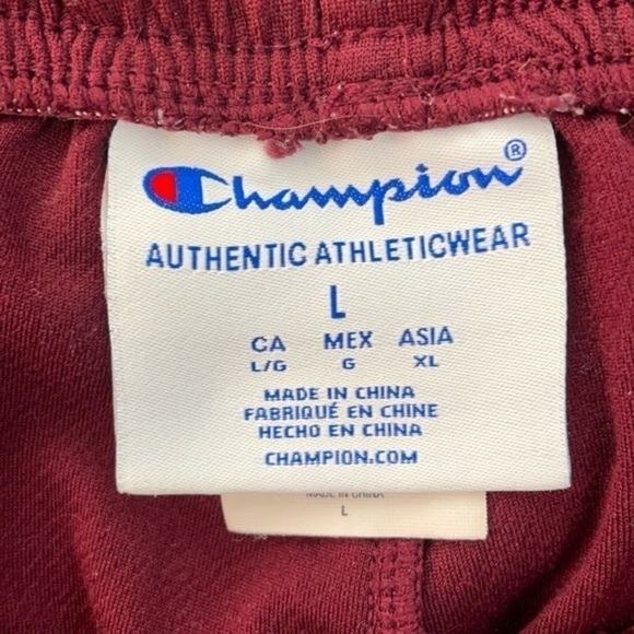 CHAMPION | Men’s Burgundy Colored CHAMPION Shorts Size Large - Picture 2 of 6